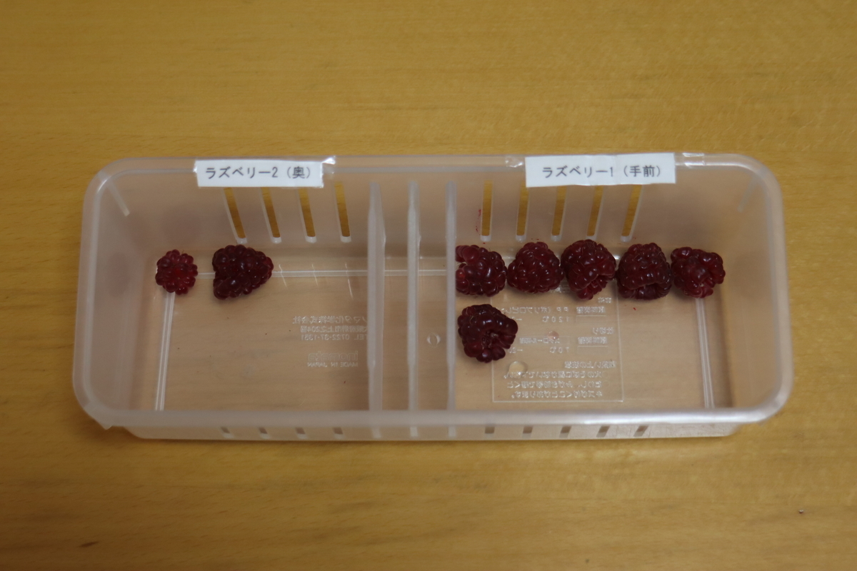 f:id:tomato_1:20210617050335j:plain