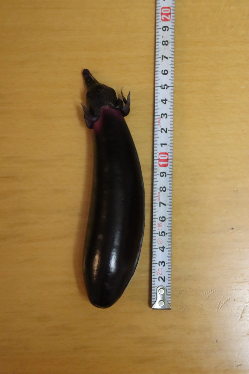 f:id:tomato_1:20210618031741j:plain
