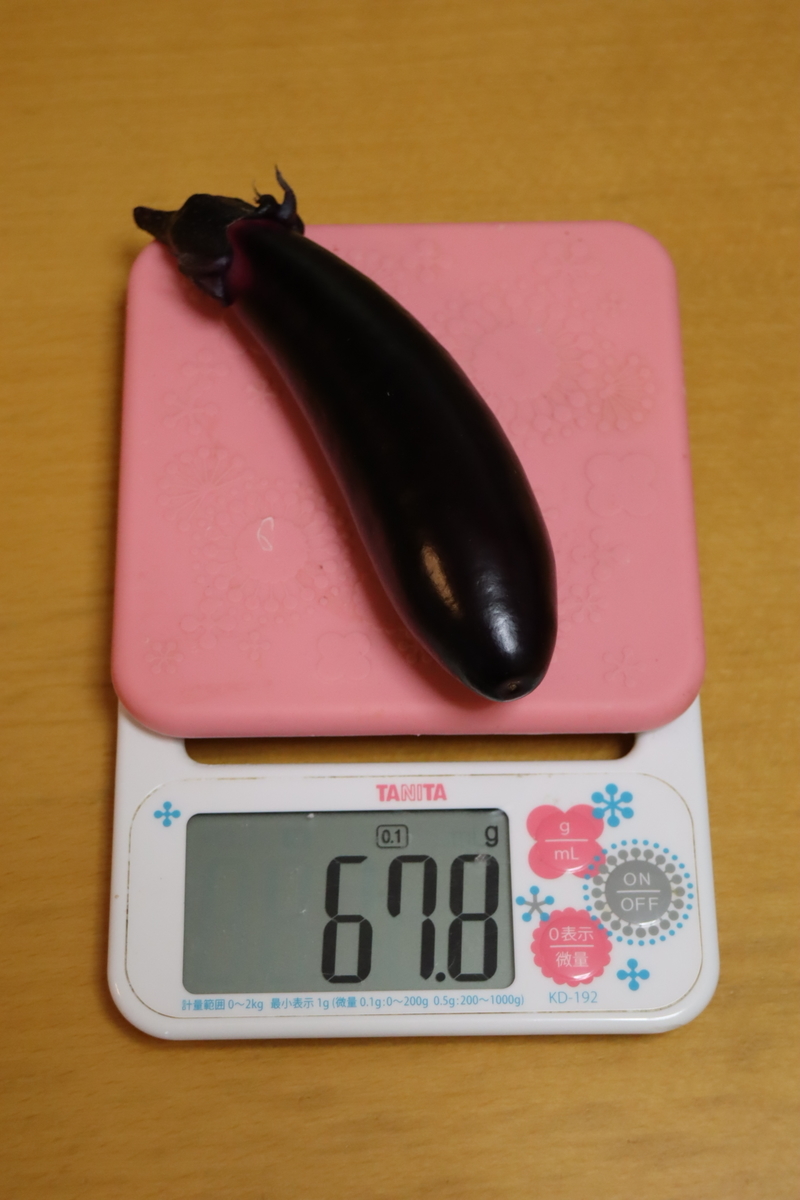 f:id:tomato_1:20210618031754j:plain