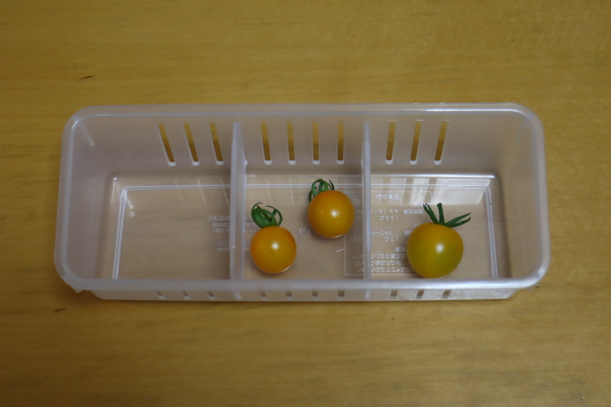 f:id:tomato_1:20210618033314j:plain