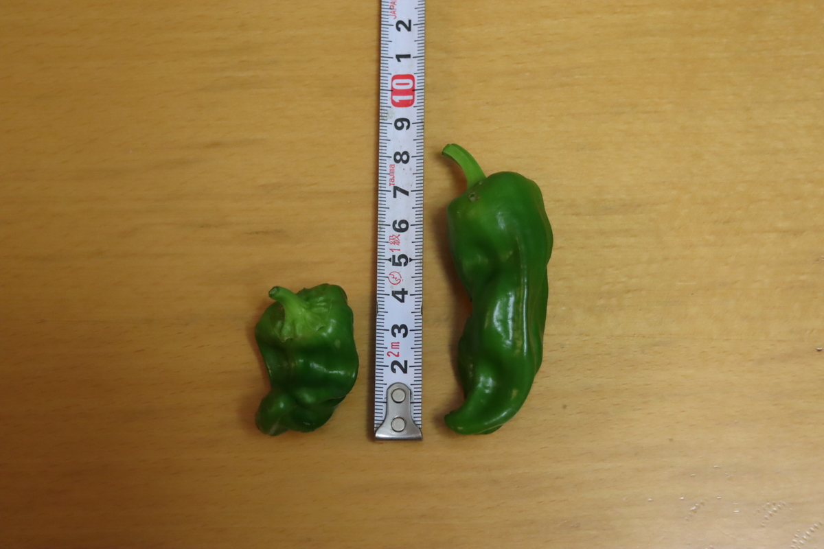 f:id:tomato_1:20210618034413j:plain