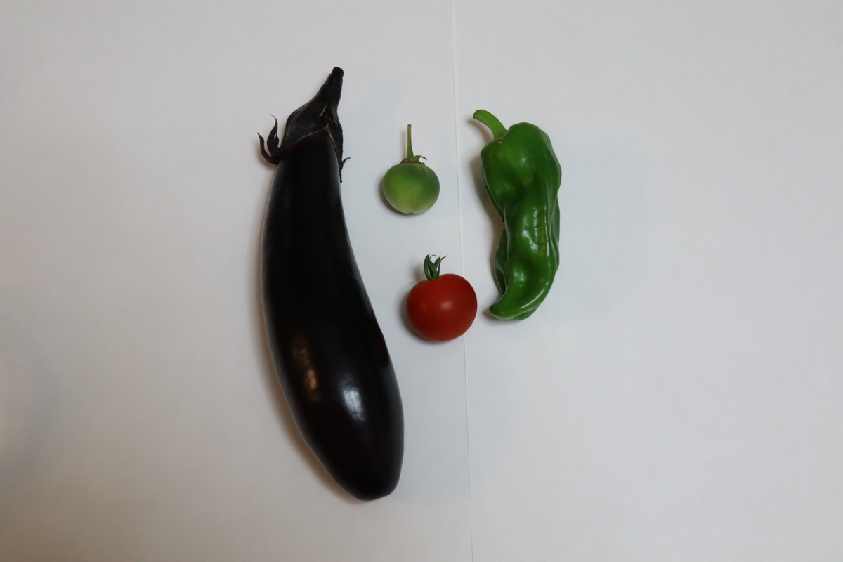 f:id:tomato_1:20210618042026j:plain