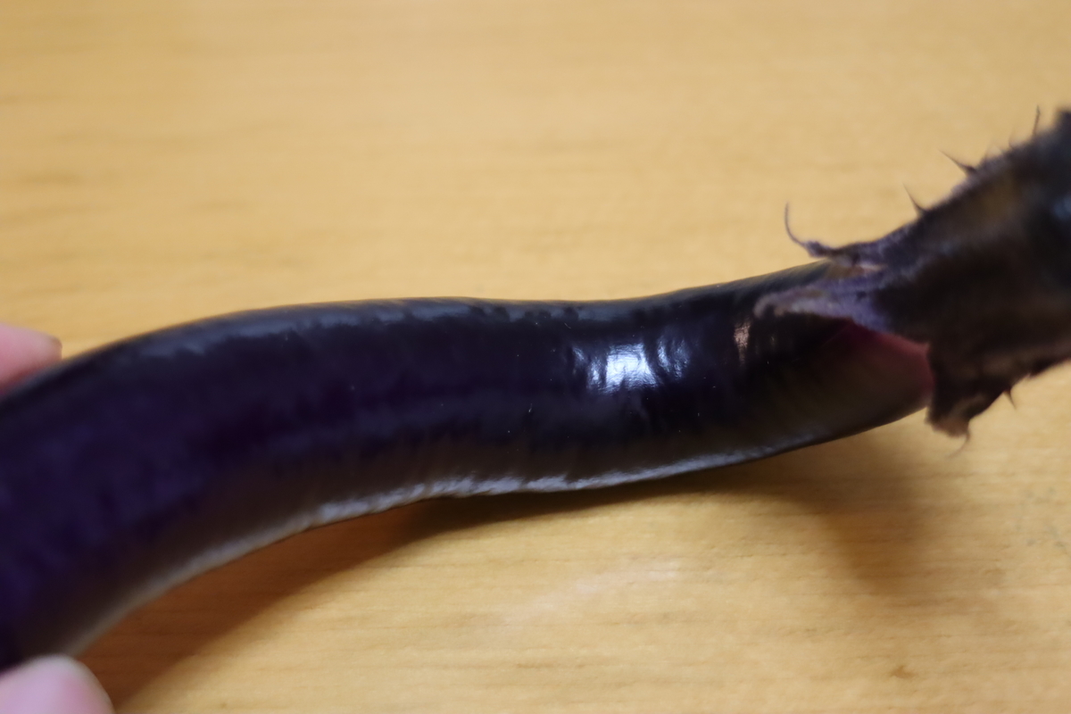 f:id:tomato_1:20210619034717j:plain