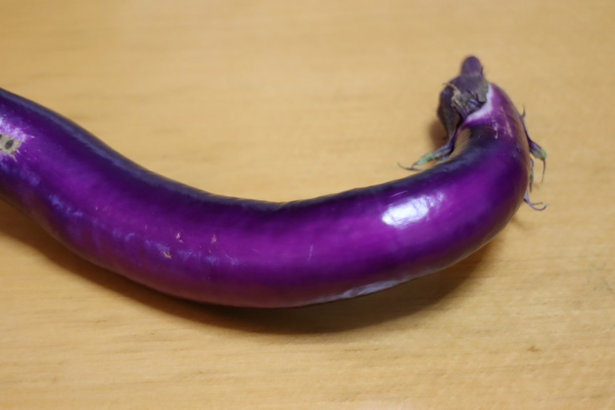 f:id:tomato_1:20210619034727j:plain