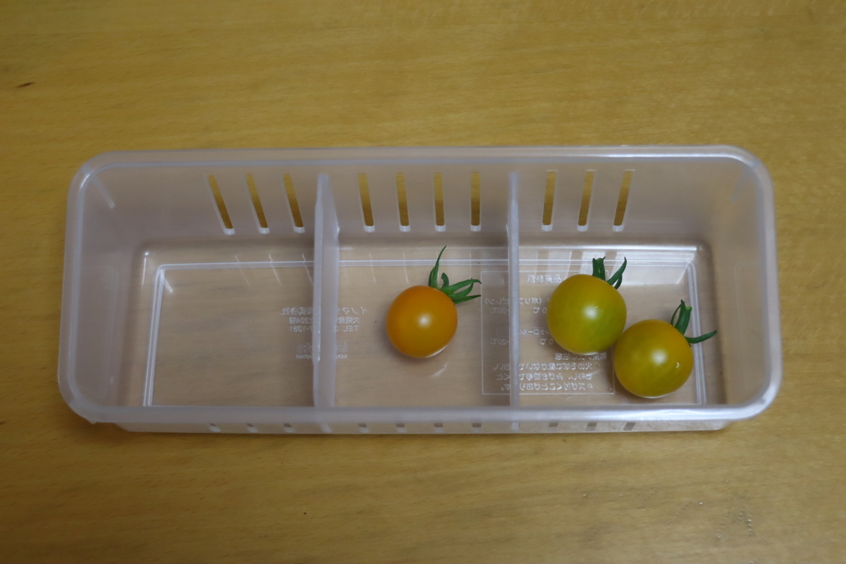 f:id:tomato_1:20210620023649j:plain