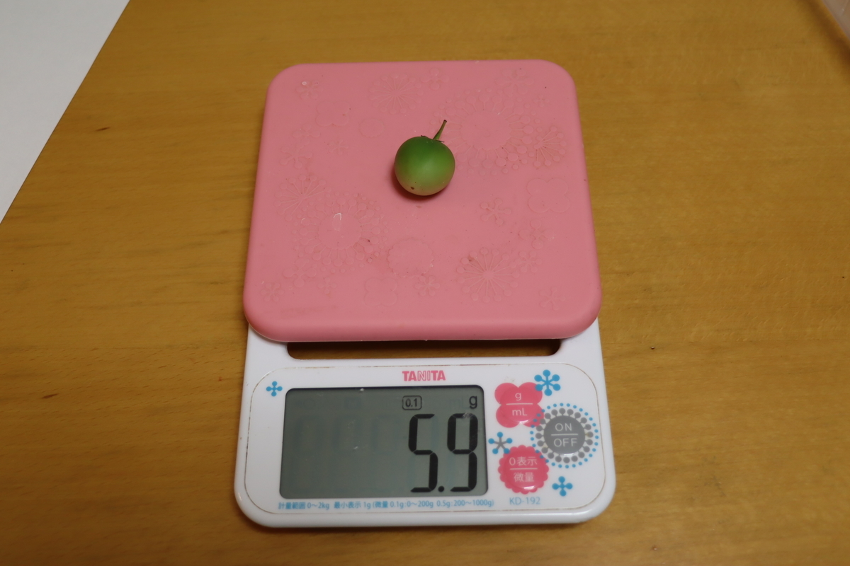 f:id:tomato_1:20210621032031j:plain