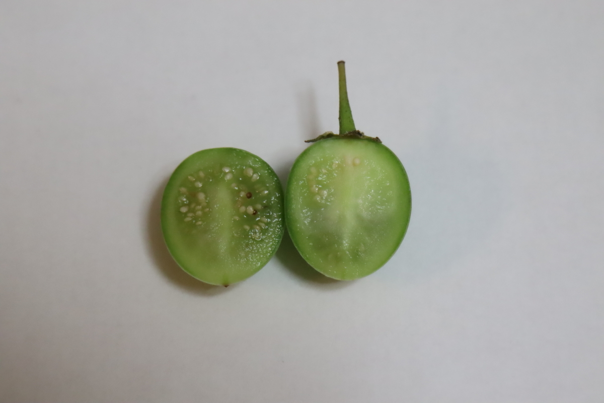 f:id:tomato_1:20210621032102j:plain