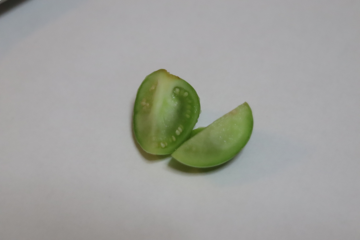 f:id:tomato_1:20210621032137j:plain