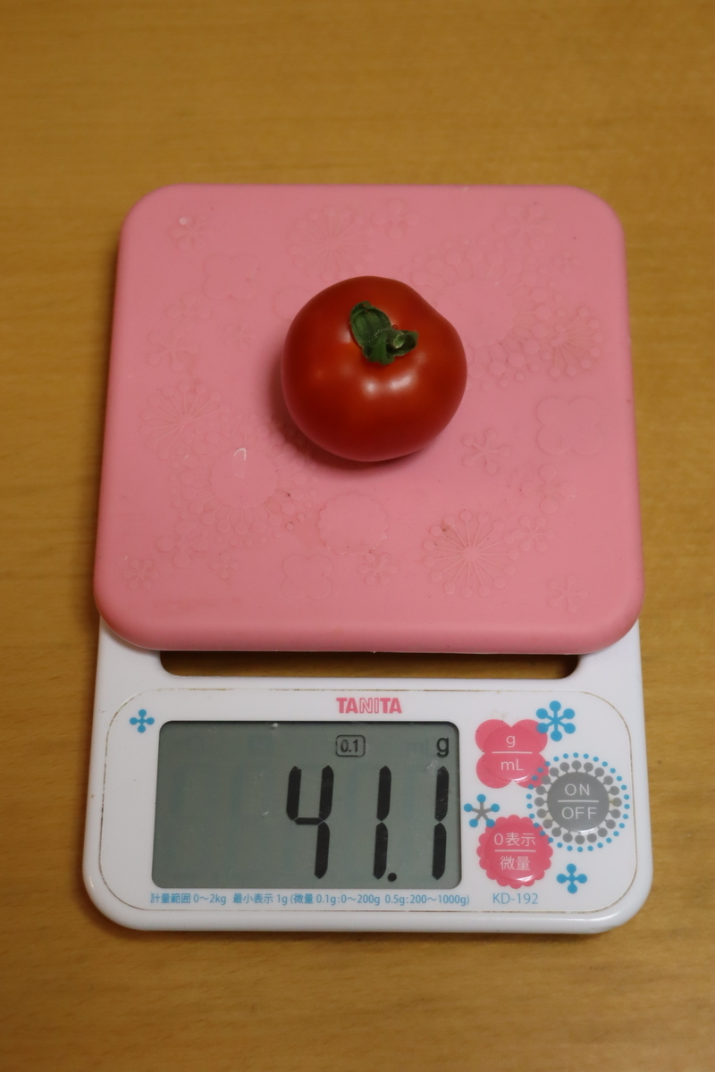 f:id:tomato_1:20210621033906j:plain