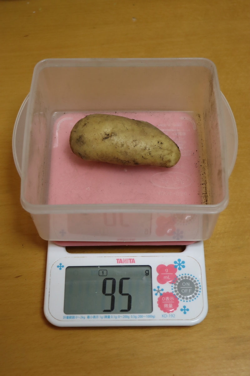 f:id:tomato_1:20210621034022j:plain
