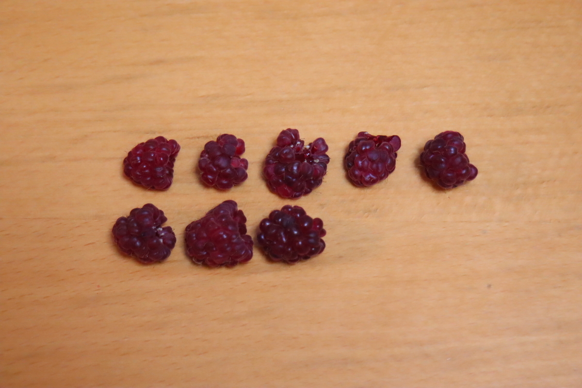 f:id:tomato_1:20210622035142j:plain