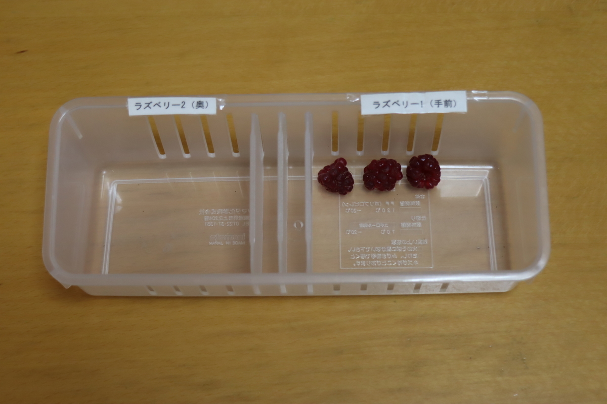 f:id:tomato_1:20210625030223j:plain
