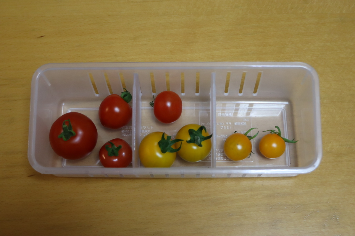 f:id:tomato_1:20210626005050j:plain