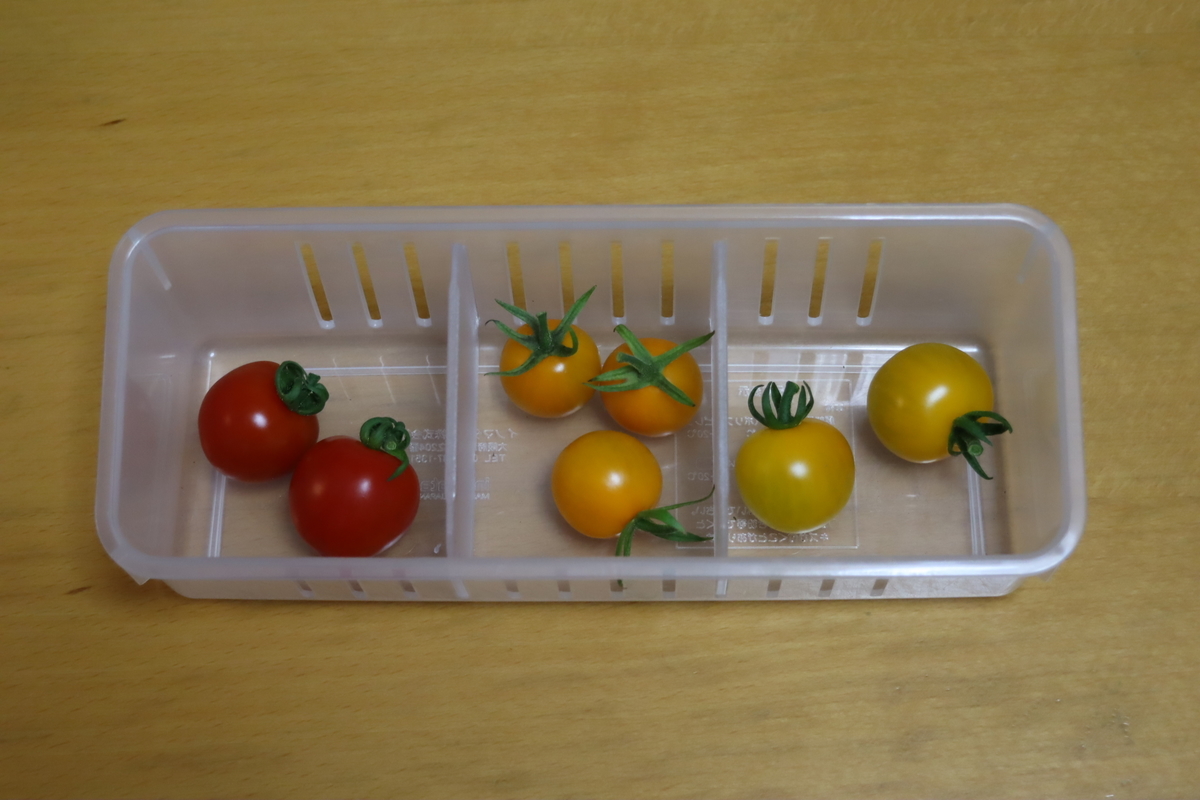 f:id:tomato_1:20210626224540j:plain