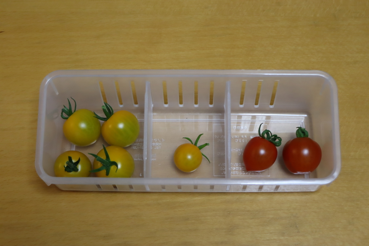 f:id:tomato_1:20210628034744j:plain