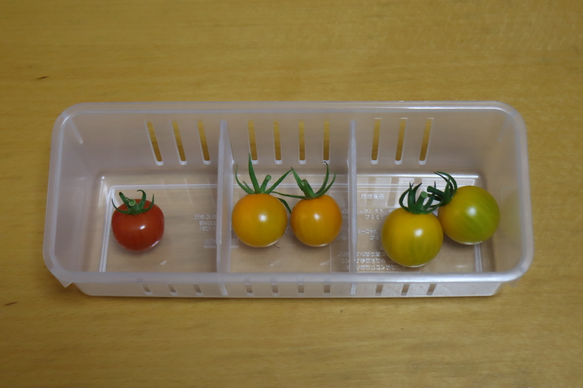 f:id:tomato_1:20210629035319j:plain