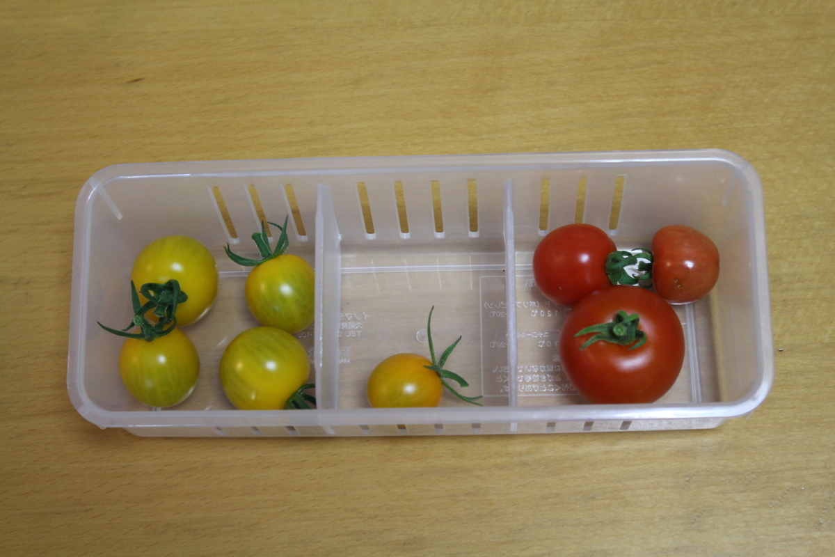 f:id:tomato_1:20210630030219j:plain