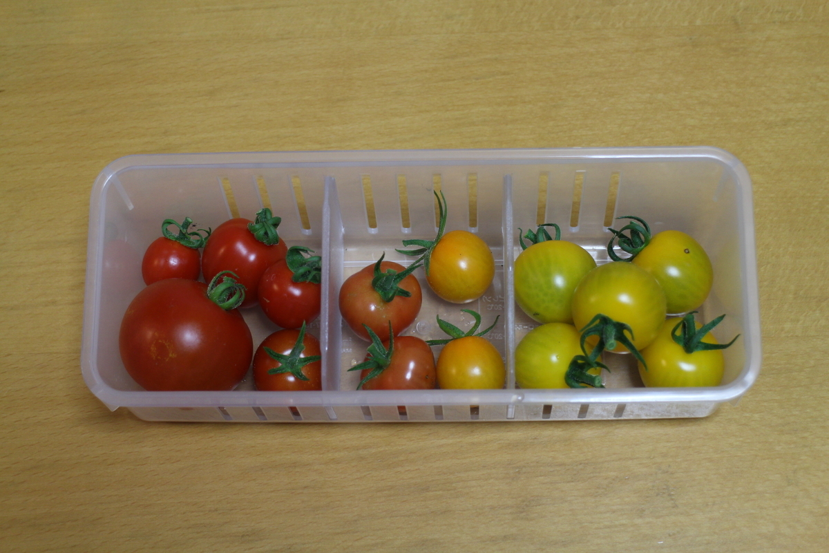 f:id:tomato_1:20210701030113j:plain