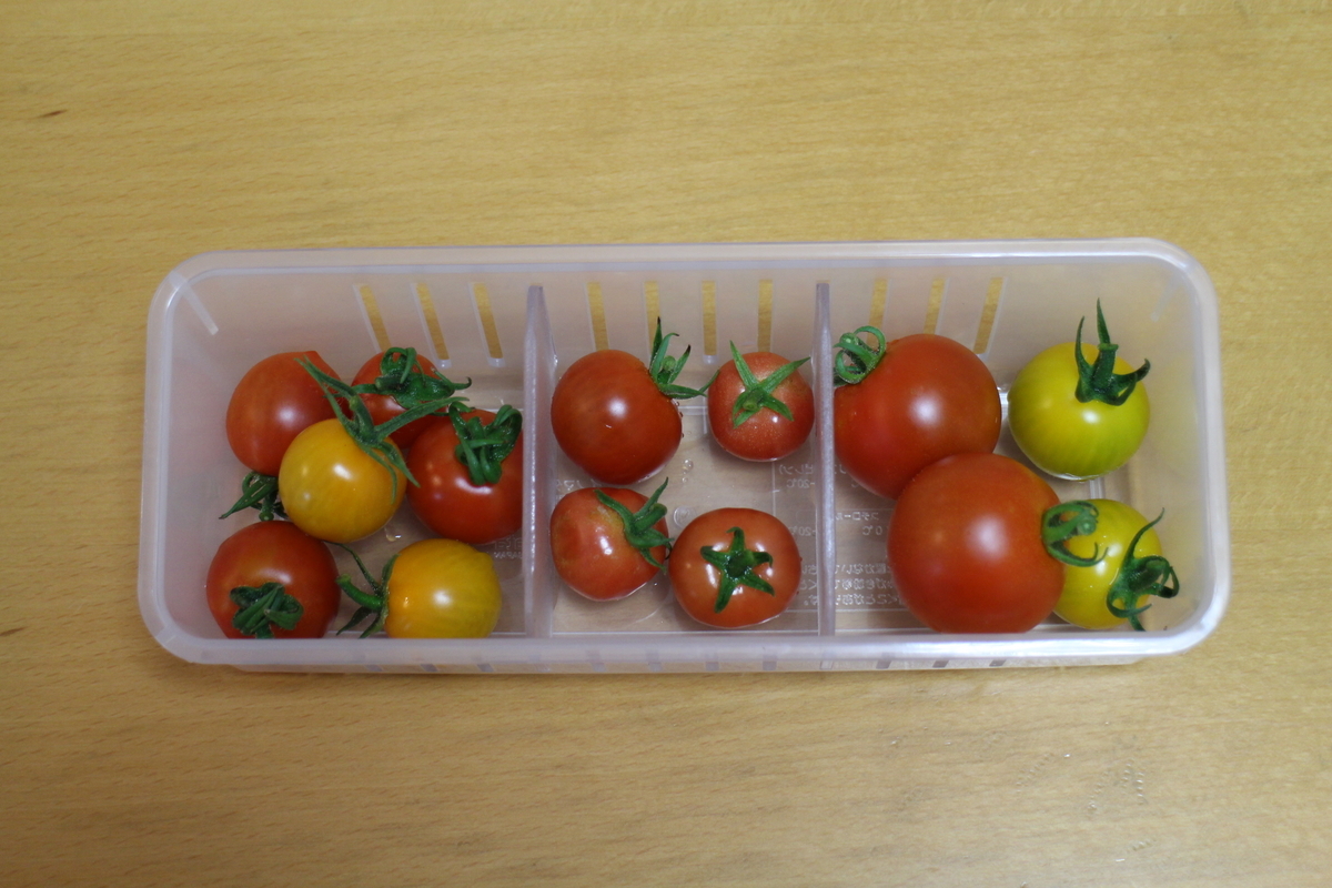 f:id:tomato_1:20210702035342j:plain