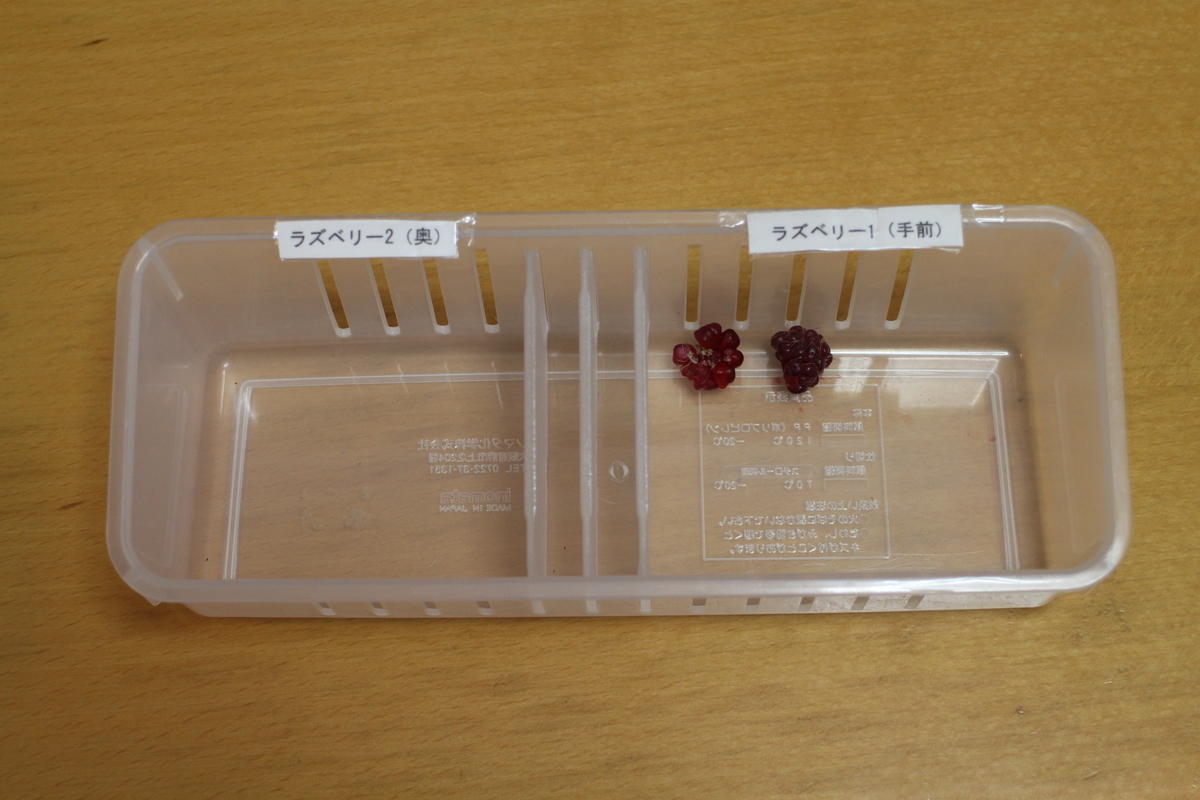 f:id:tomato_1:20210702035428j:plain