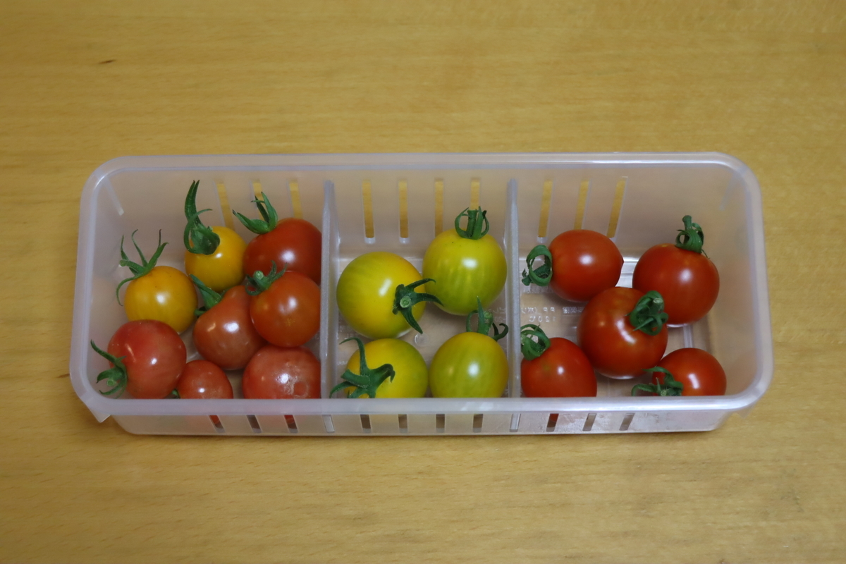 f:id:tomato_1:20210704033612j:plain