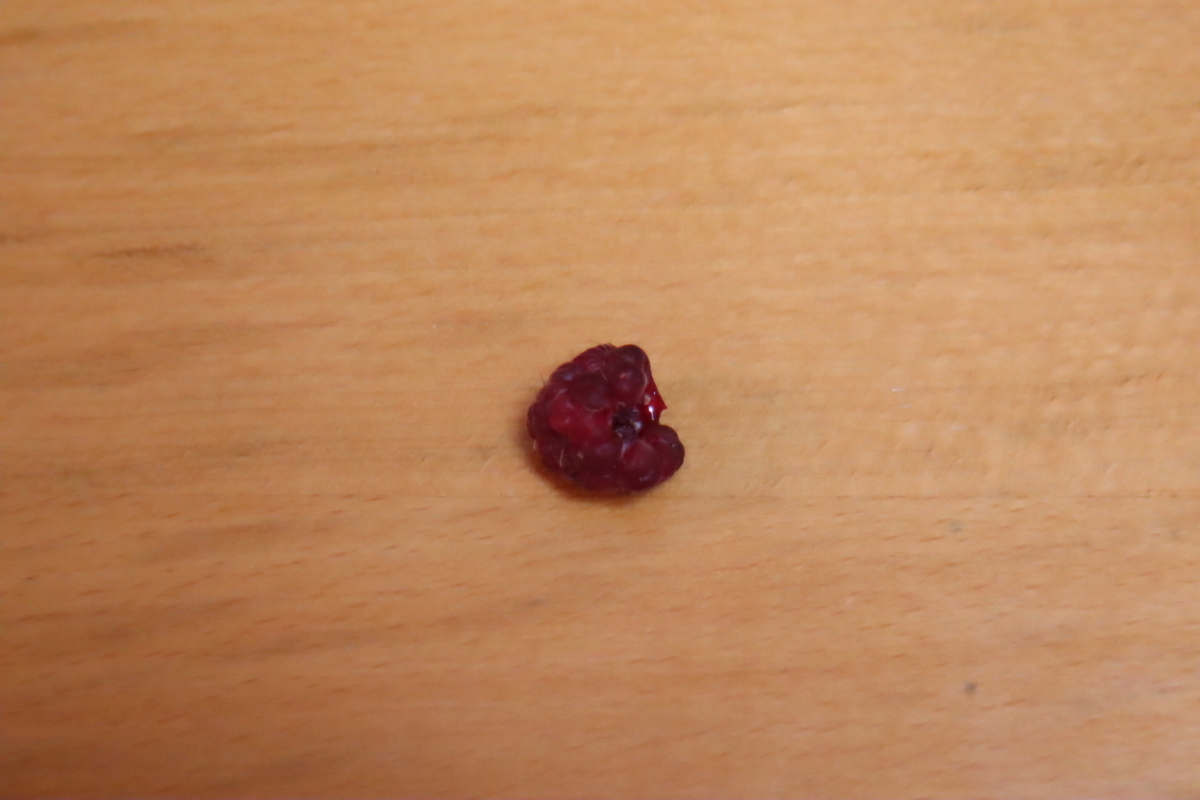f:id:tomato_1:20210704033649j:plain