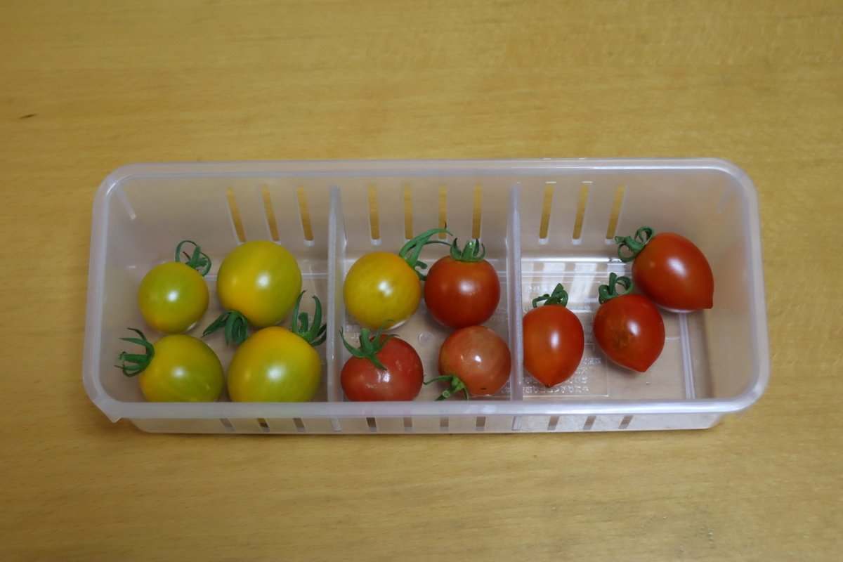 f:id:tomato_1:20210706035259j:plain
