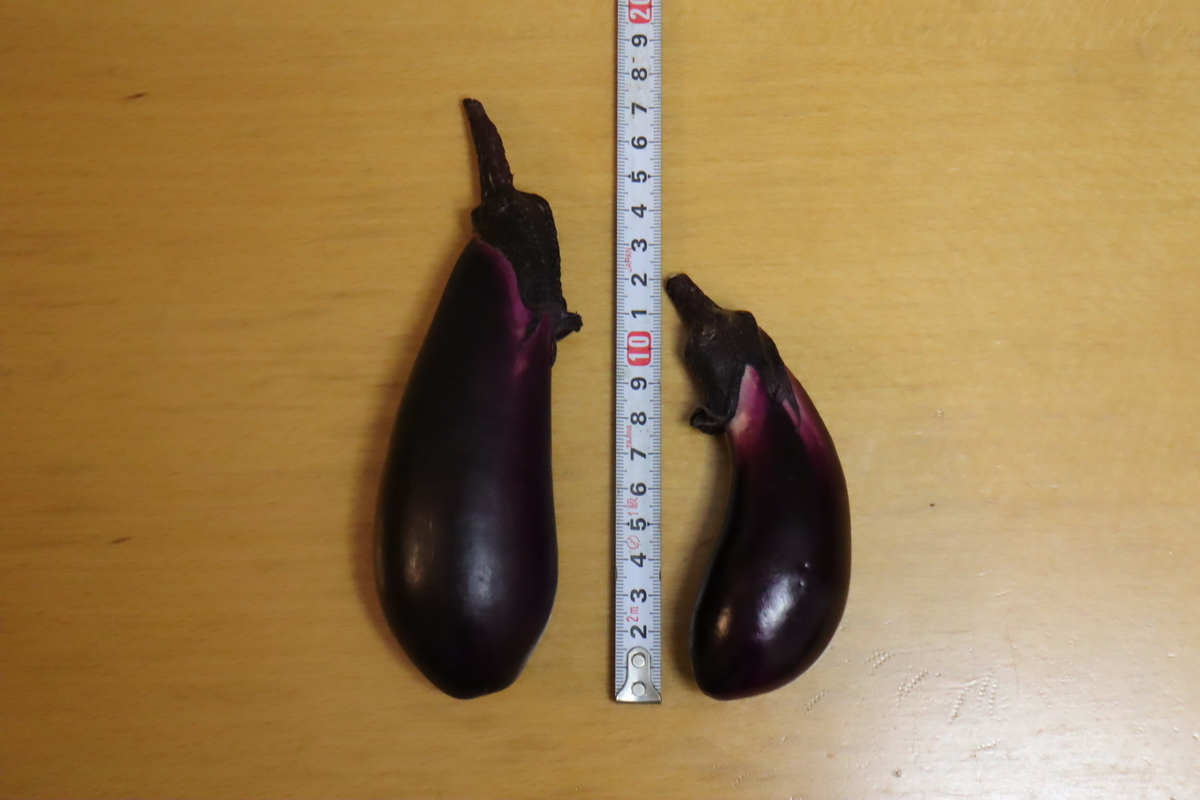 f:id:tomato_1:20210709034917j:plain