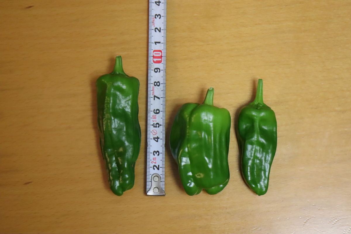 f:id:tomato_1:20210709035121j:plain