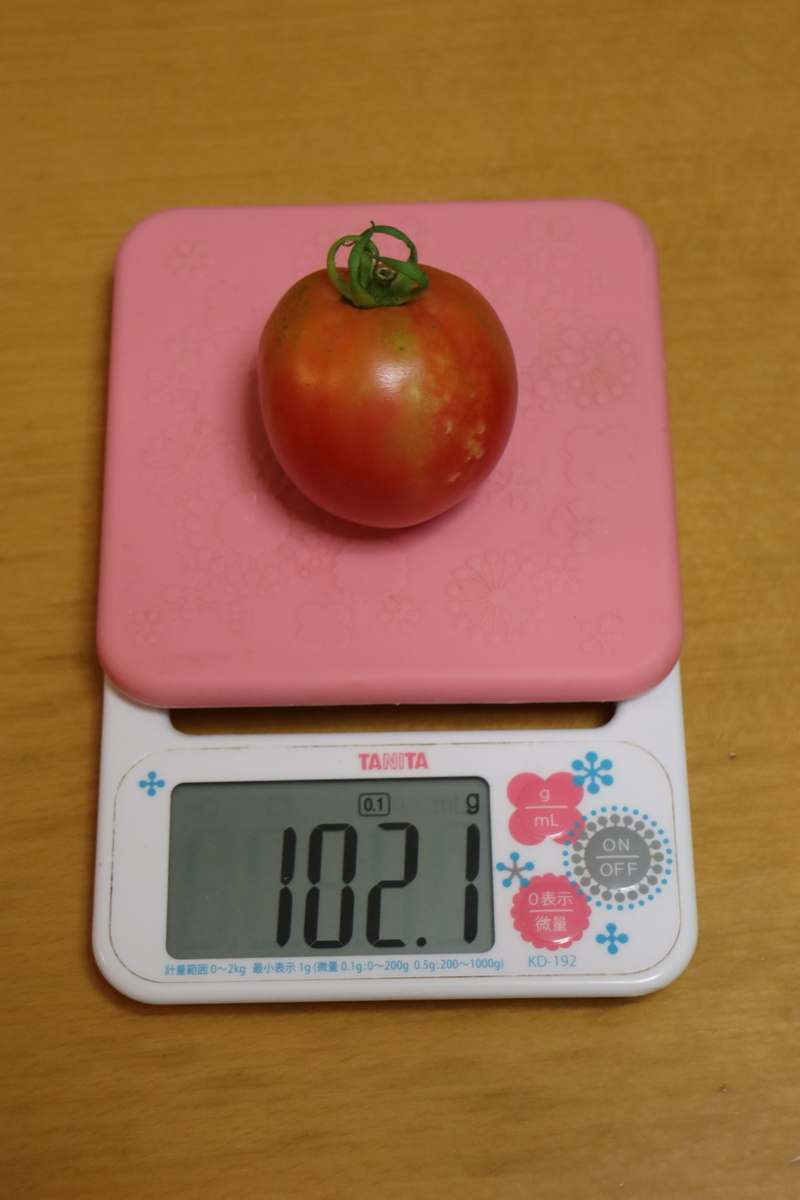 f:id:tomato_1:20210709035338j:plain