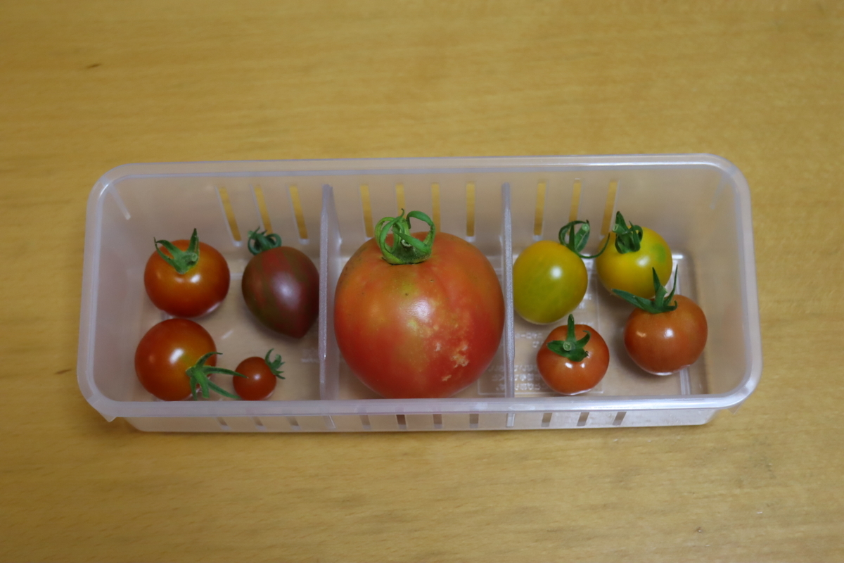 f:id:tomato_1:20210709035424j:plain