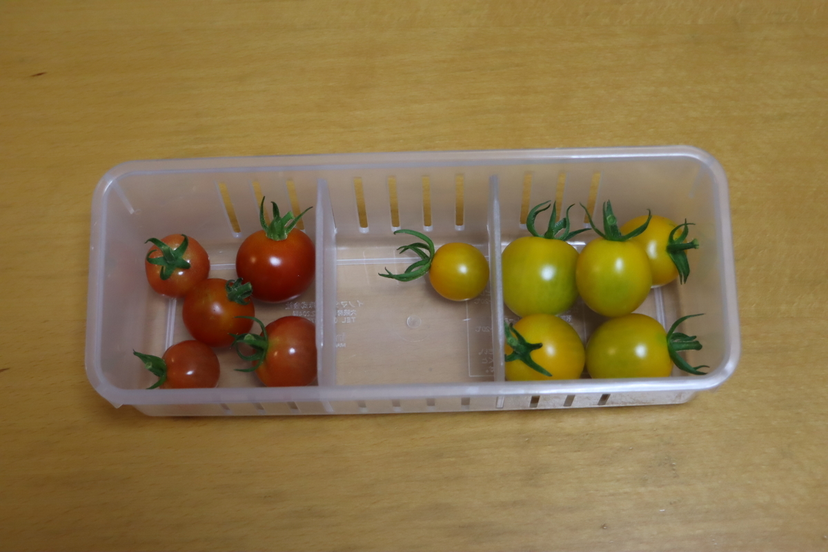 f:id:tomato_1:20210709205435j:plain