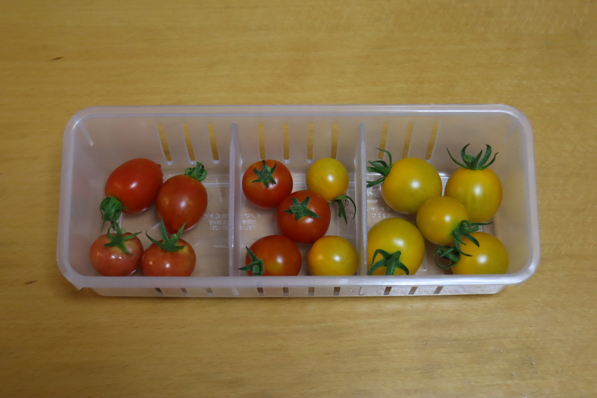 f:id:tomato_1:20210711035638j:plain
