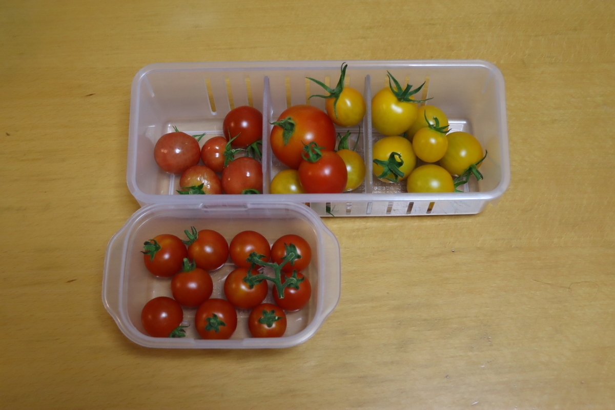 f:id:tomato_1:20210713002409j:plain