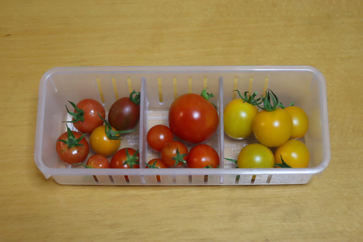 f:id:tomato_1:20210714034344j:plain