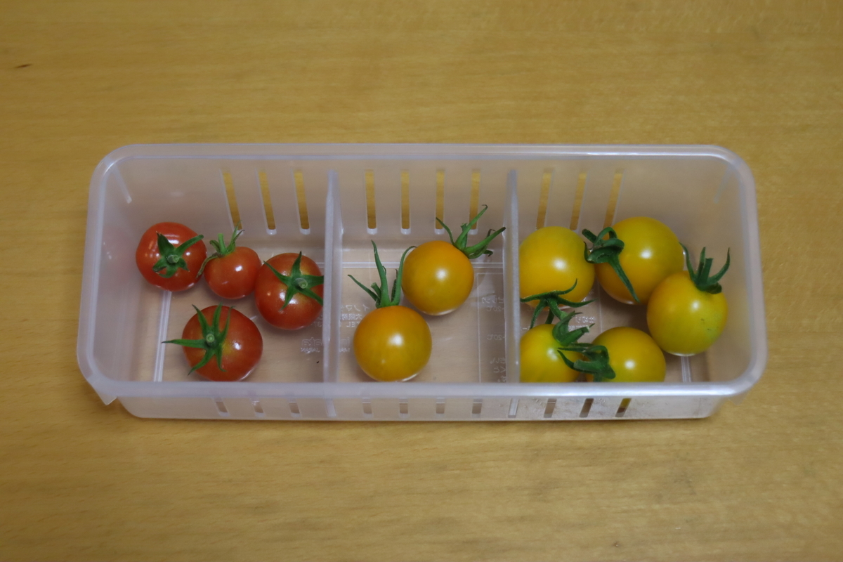 f:id:tomato_1:20210715023815j:plain