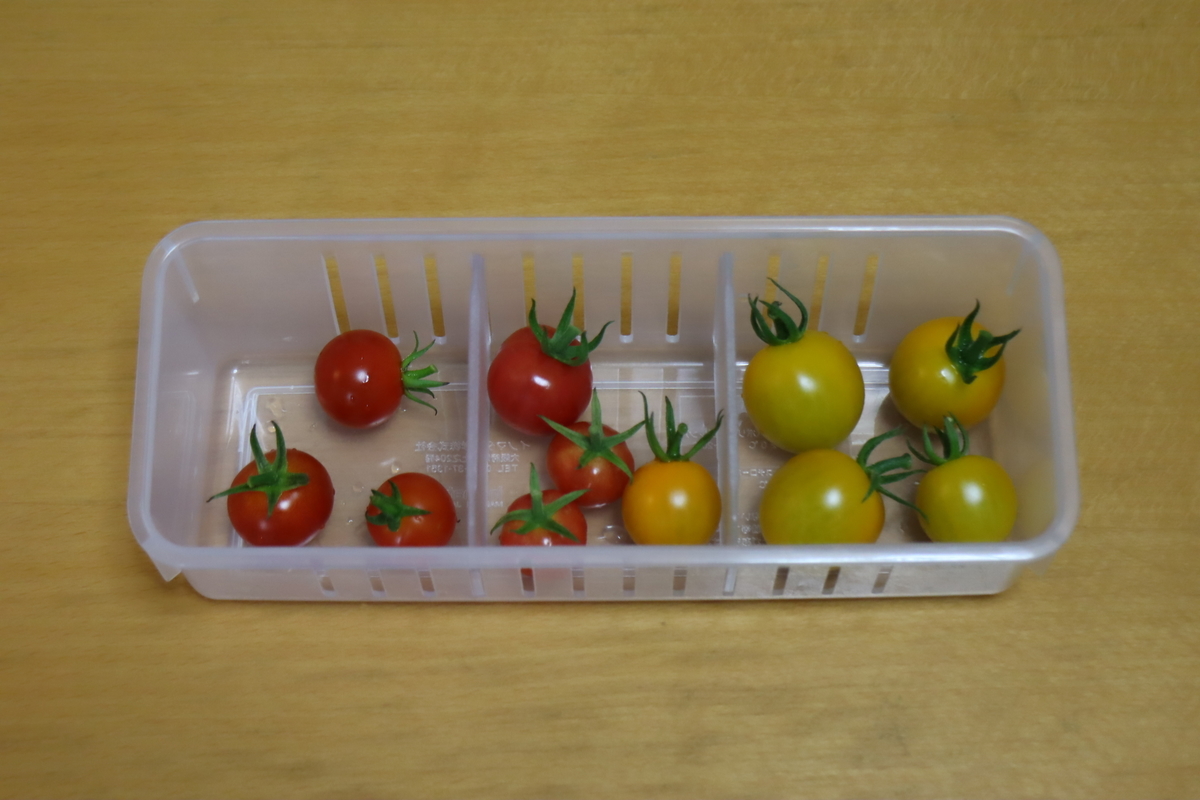 f:id:tomato_1:20210716040022j:plain