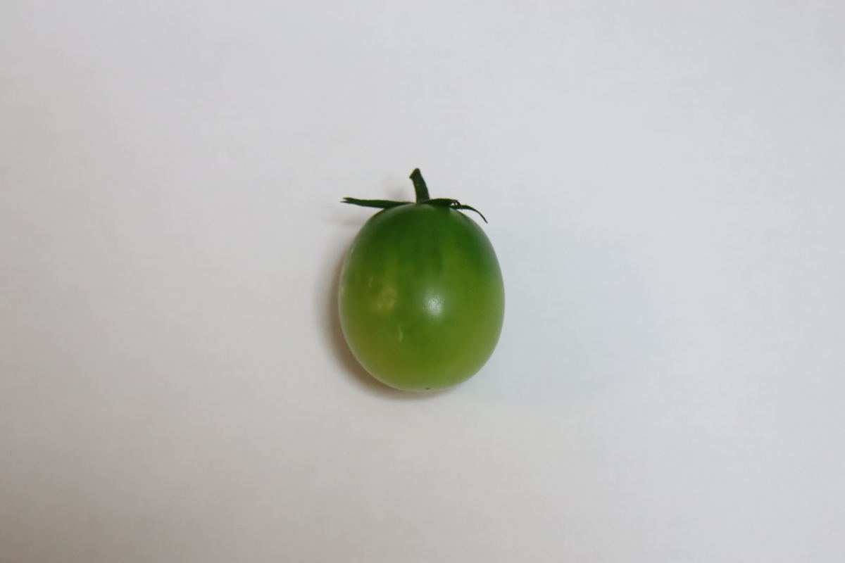 f:id:tomato_1:20210717040955j:plain