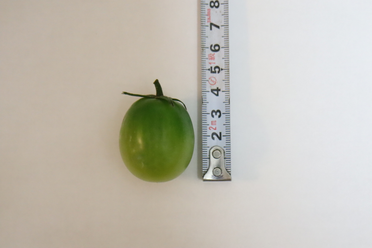 f:id:tomato_1:20210717041026j:plain