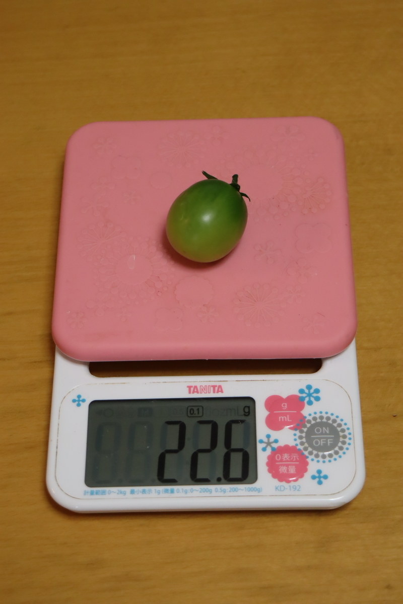 f:id:tomato_1:20210717041043j:plain