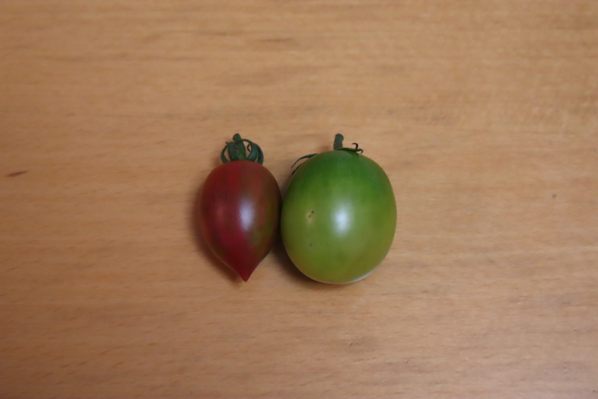 f:id:tomato_1:20210717044855j:plain