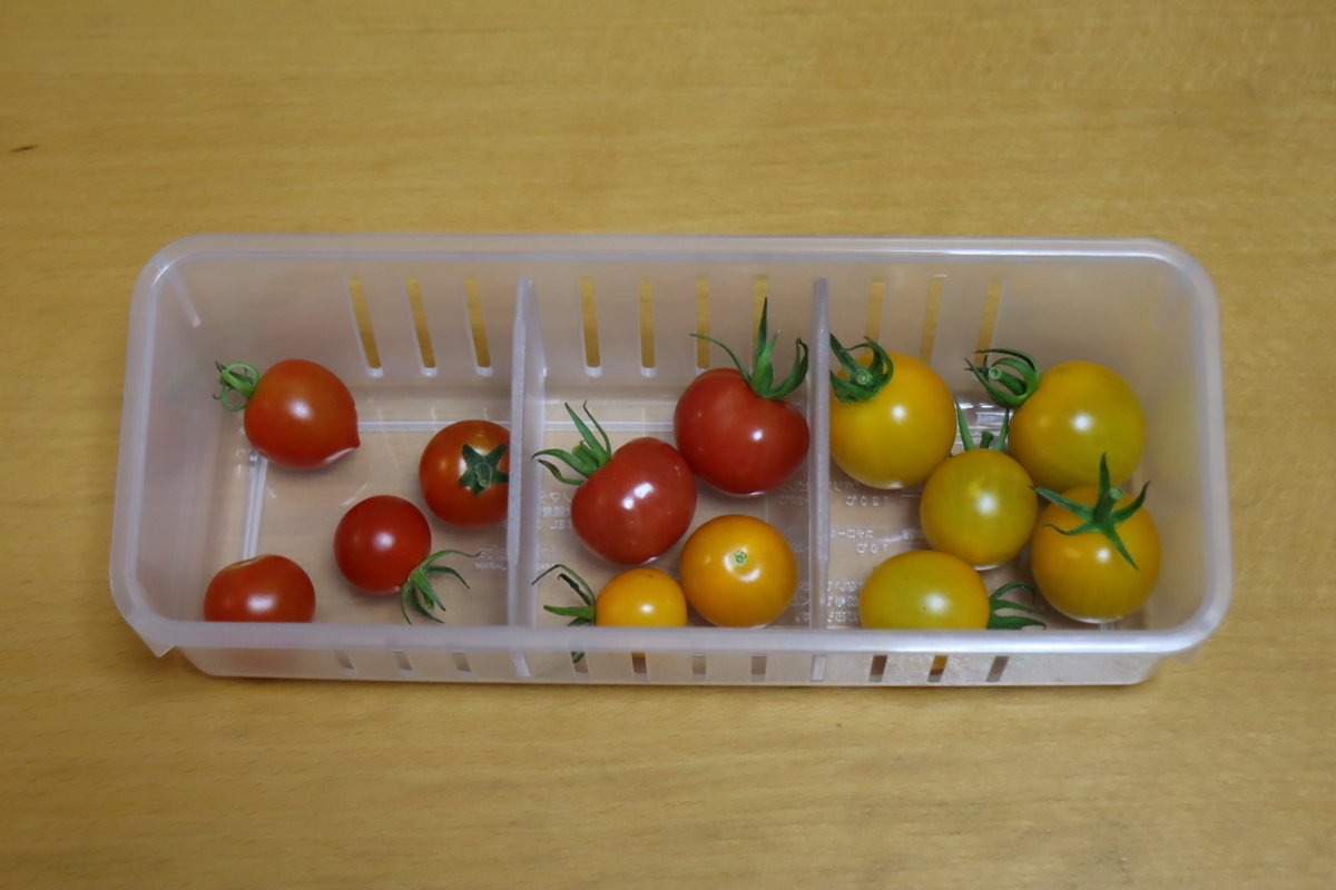 f:id:tomato_1:20210717233037j:plain
