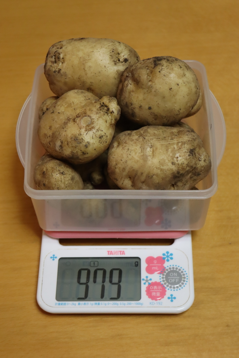 f:id:tomato_1:20210719041532j:plain