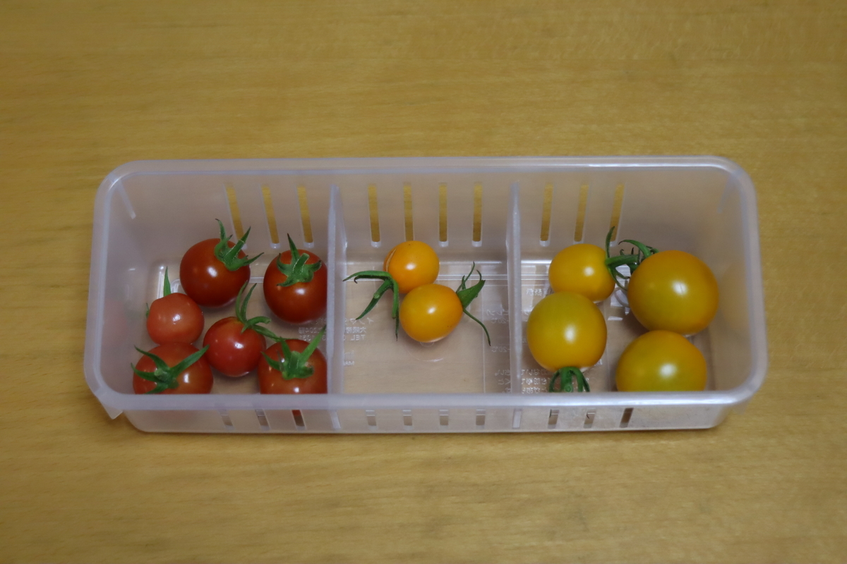 f:id:tomato_1:20210719041627j:plain
