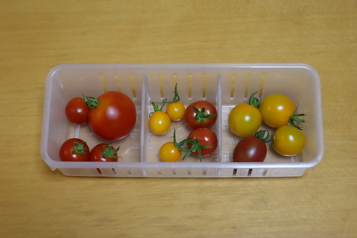 f:id:tomato_1:20210720035349j:plain