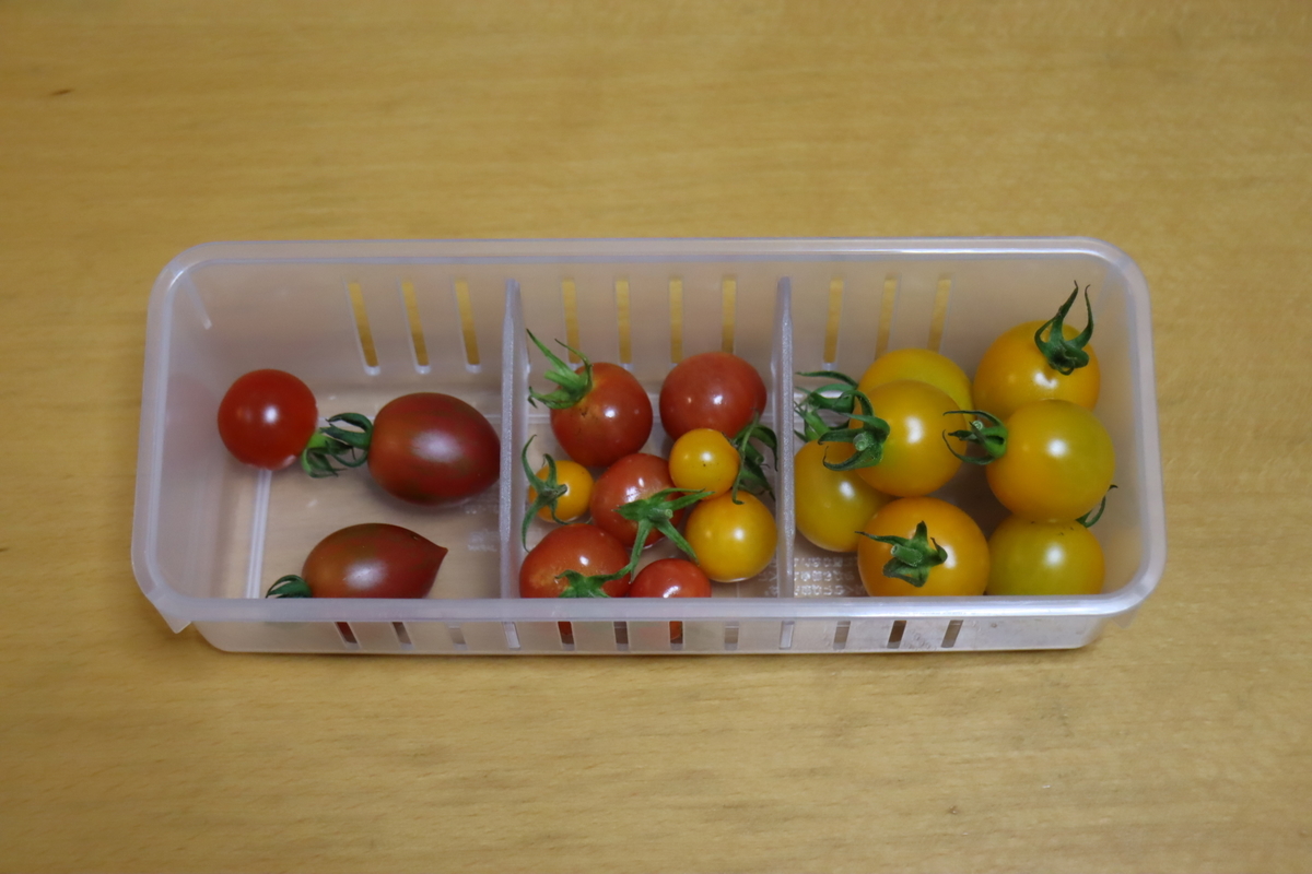 f:id:tomato_1:20210721042134j:plain