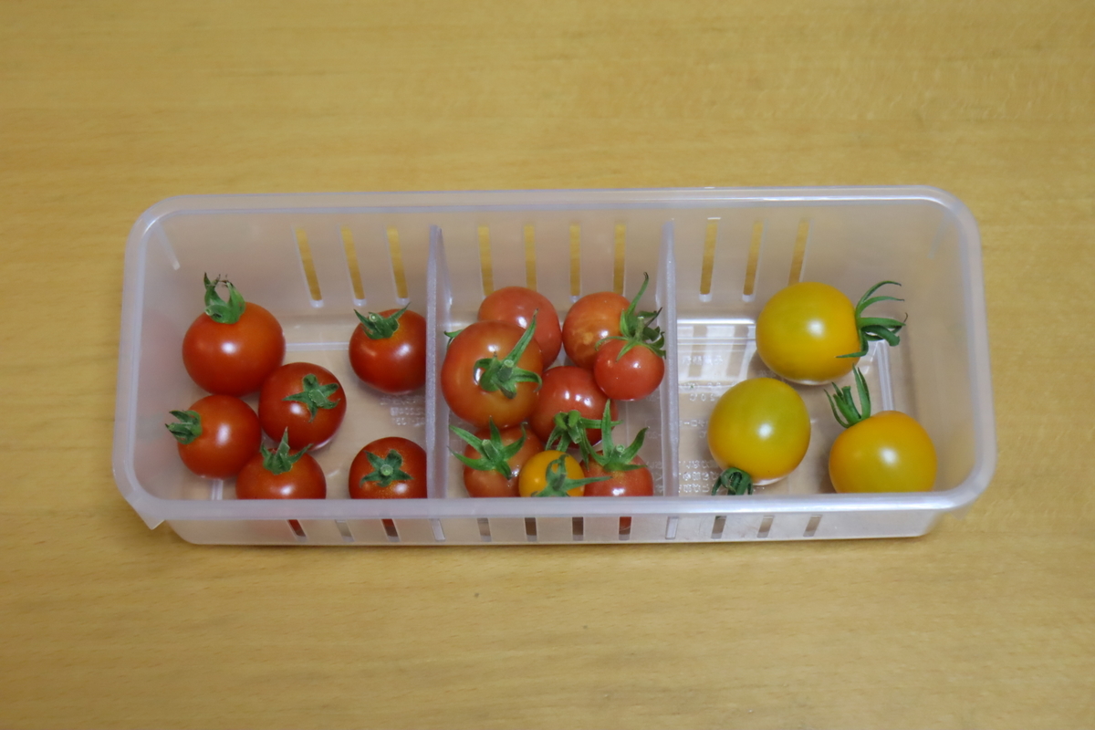 f:id:tomato_1:20210722024459j:plain