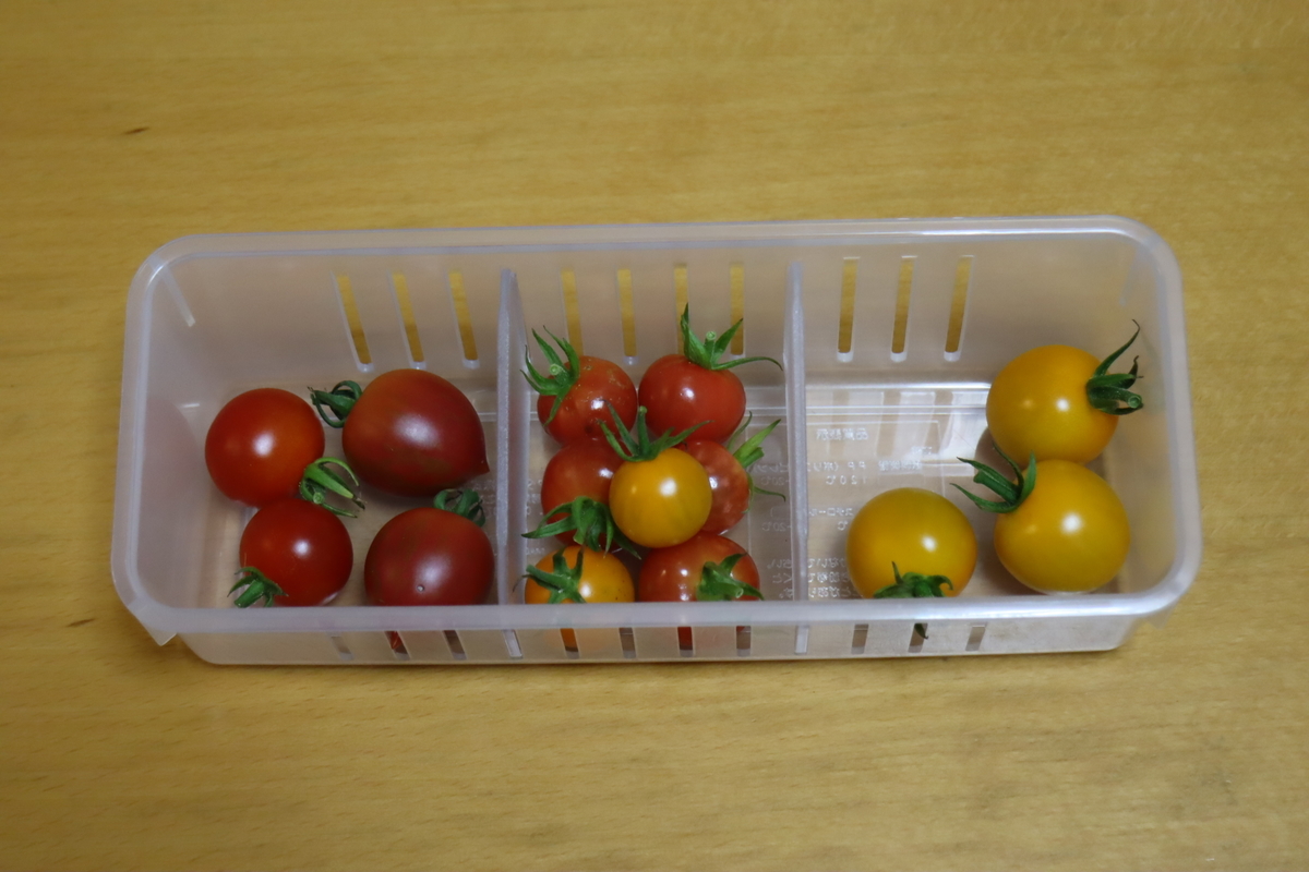 f:id:tomato_1:20210722233112j:plain