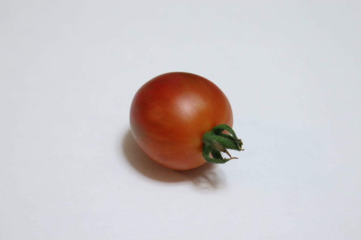 f:id:tomato_1:20210722233123j:plain