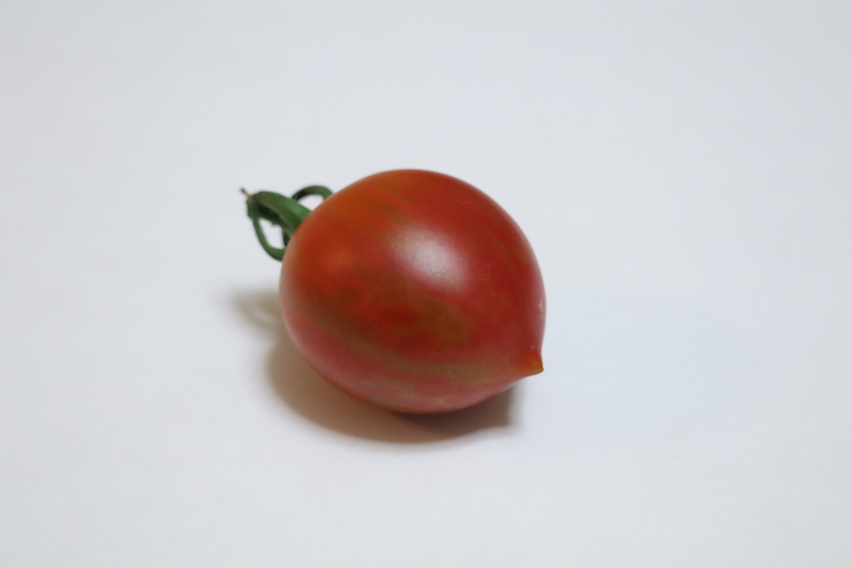f:id:tomato_1:20210722233138j:plain